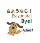 日本語、英語、スペイン語を話す犬（個別スタンプ：15）