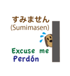 日本語、英語、スペイン語を話す犬（個別スタンプ：20）