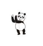 Panda ＆ Pandy (Animated)（個別スタンプ：2）