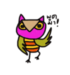 Owl Hook（個別スタンプ：7）