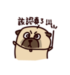 PUG PUG（個別スタンプ：7）