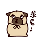 PUG PUG（個別スタンプ：14）