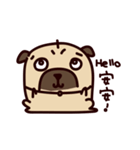 PUG PUG（個別スタンプ：16）