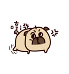 PUG PUG（個別スタンプ：21）