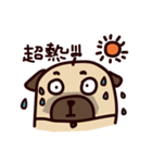 PUG PUG（個別スタンプ：24）