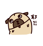 PUG PUG（個別スタンプ：35）