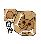 Buck teeth cats 2.0（個別スタンプ：17）