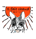 French bulldog Truffle French-speaking（個別スタンプ：23）