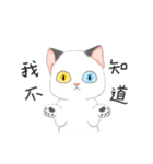 Play with me meow（個別スタンプ：12）