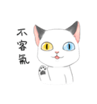 Play with me meow（個別スタンプ：24）