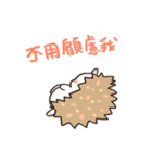 Hedgehog Kun！2（個別スタンプ：5）