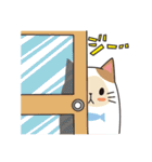 ネコジルシのスタンプ（個別スタンプ：36）