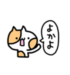 博多のねこさんず（個別スタンプ：4）