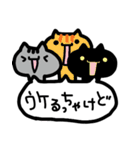 博多のねこさんず（個別スタンプ：9）