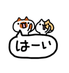 博多のねこさんず（個別スタンプ：24）