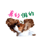 Cavalier King Charles Spaniel-nami（個別スタンプ：30）