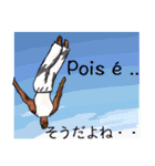 愉快なカポエイラの仲間たち 〜Jogo編〜（個別スタンプ：7）