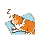 Sheltie's daily life（個別スタンプ：7）