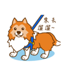 Sheltie's daily life（個別スタンプ：14）