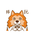 Sheltie's daily life（個別スタンプ：15）