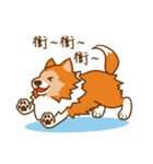 Sheltie's daily life（個別スタンプ：17）