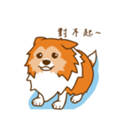 Sheltie's daily life（個別スタンプ：18）