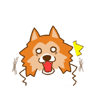 Sheltie's daily life（個別スタンプ：20）