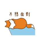 Sheltie's daily life（個別スタンプ：24）