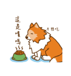 Sheltie's daily life（個別スタンプ：27）