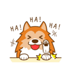 Sheltie's daily life（個別スタンプ：28）