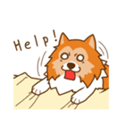 Sheltie's daily life（個別スタンプ：38）