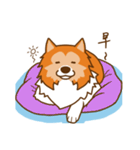 Sheltie's daily life（個別スタンプ：39）