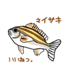 忠彦丸 Let's Enjoy Fishing！（個別スタンプ：38）