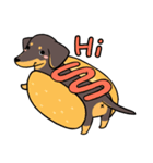 Dachshund Kuji（個別スタンプ：2）