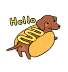 Dachshund Kuji（個別スタンプ：4）