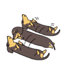 Dachshund Kuji（個別スタンプ：7）