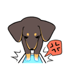 Dachshund Kuji（個別スタンプ：8）