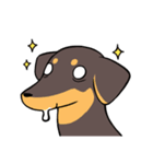 Dachshund Kuji（個別スタンプ：15）