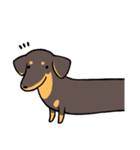 Dachshund Kuji（個別スタンプ：18）