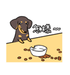 Dachshund Kuji（個別スタンプ：27）