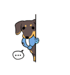 Dachshund Kuji（個別スタンプ：30）