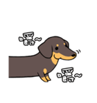 Dachshund Kuji（個別スタンプ：32）