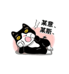 Bibi cat have a runny nose. One（個別スタンプ：19）