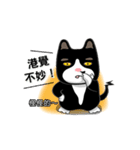 Bibi cat have a runny nose. One（個別スタンプ：29）