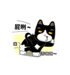 Bibi cat have a runny nose. One（個別スタンプ：33）