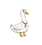 Duck Vilim（個別スタンプ：3）