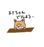 柴犬のまきちゃんスタンプ（個別スタンプ：24）