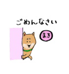 柴犬のまきちゃんスタンプ（個別スタンプ：27）