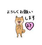 柴犬のまきちゃんスタンプ（個別スタンプ：33）