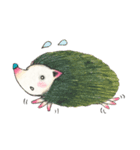 Meet adorable Porcupine Gosum！（個別スタンプ：33）